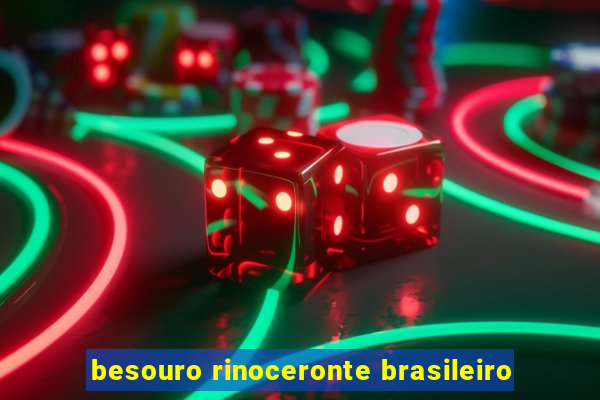 besouro rinoceronte brasileiro